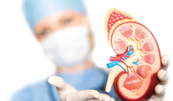 Paediatric Nephrology Department